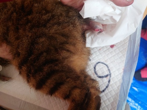 20240313_155539_copy_800x600