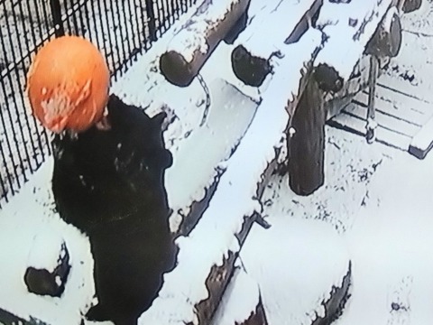 20260208_074728~2_copy_800x599