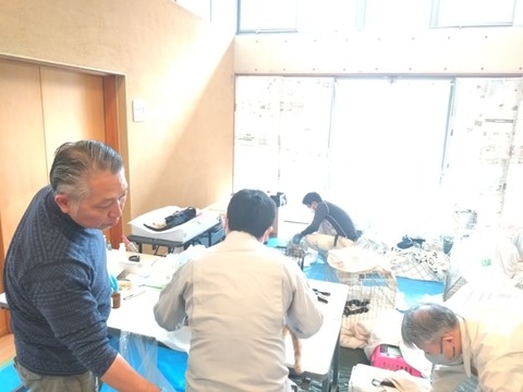 20251124_114842_copy_800x600