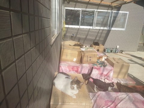 20240302_140152_copy_800x600