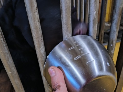 20251231_071907_copy_800x600