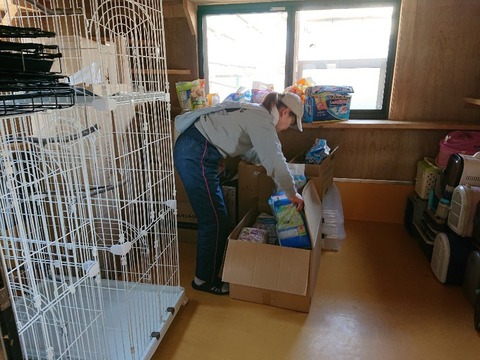 DSC_5796_copy_800x600