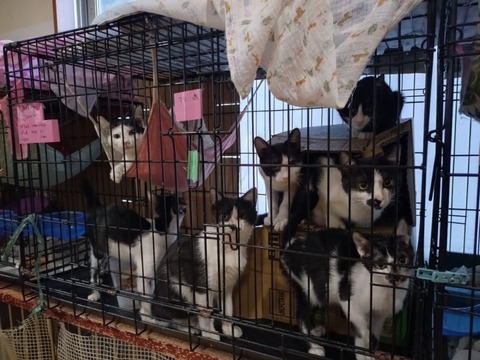 20260119_082735_copy_800x600