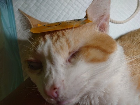 DSC_1641_copy_800x600