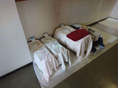 DSC_6236_copy_800x600