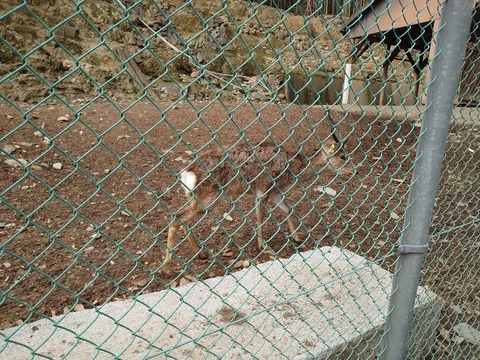 DSC_2837_copy_800x600