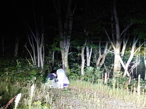 DSC_0315_copy_800x600