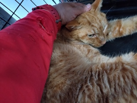 20260119_083657_copy_800x600