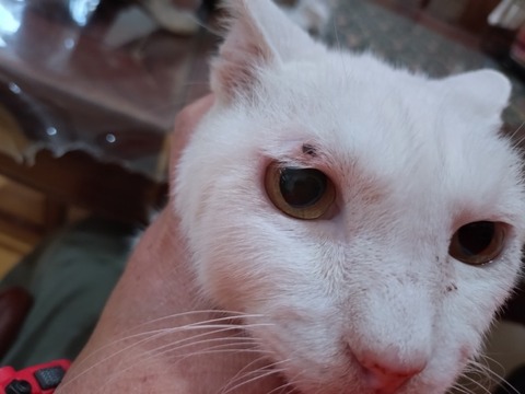 20251213_124933_copy_800x600