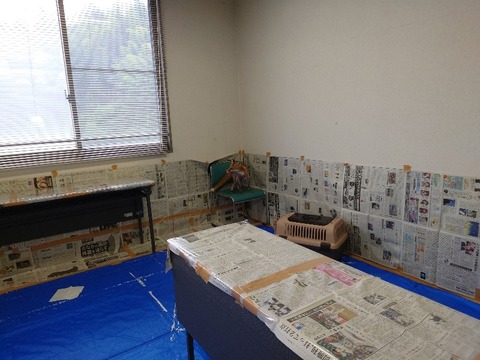 20220724_123826_copy_800x600_1