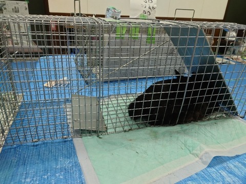 20230403_145638_copy_800x600