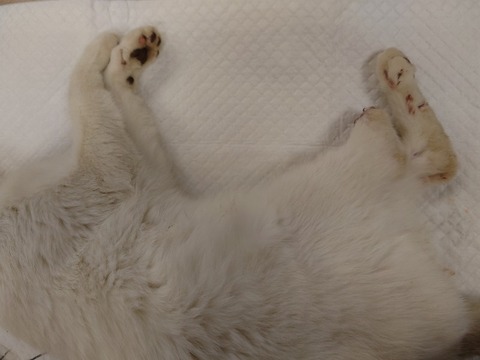 20230403_112755_copy_800x600