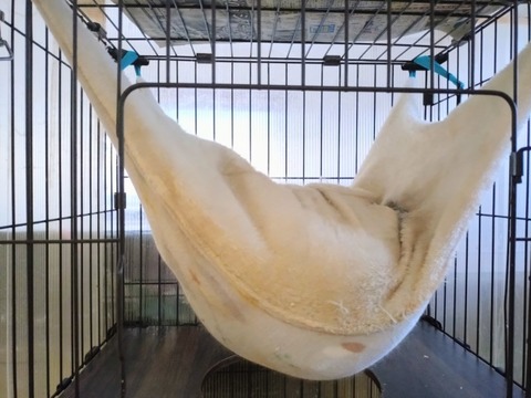 20260222_073814~2_copy_800x600