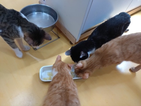 20250620_094108_copy_800x600