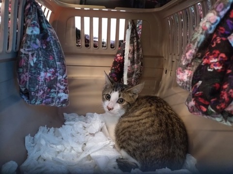 20260121_091308_copy_800x600