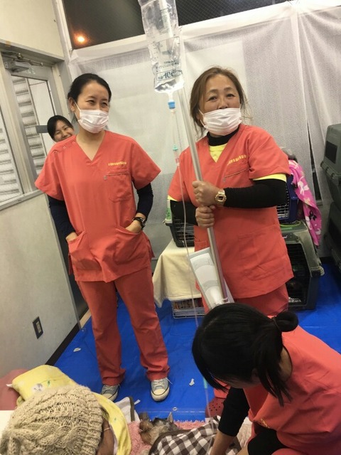 1516945237477-600x800