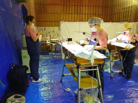 DSC_1631_copy_800x600