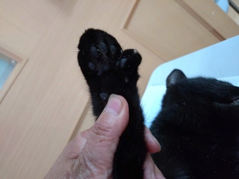 20251224_135839_copy_800x600