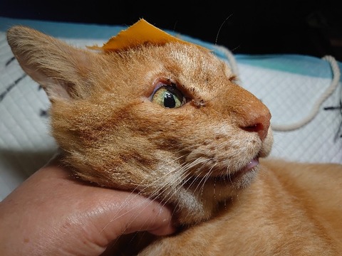 DSC_1643_copy_800x600