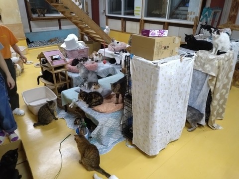 20251019_212904_copy_800x600