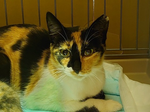 DSC_1639_copy_800x600