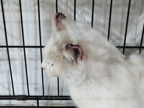 20260124_142608~2_copy_816x612