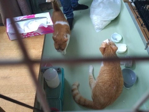 20251004_074409_copy_800x600