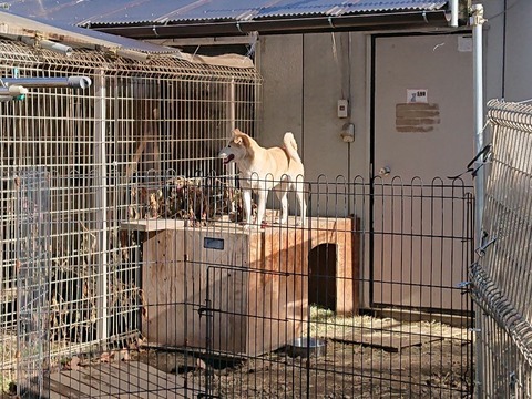 DSC_4121-800x600