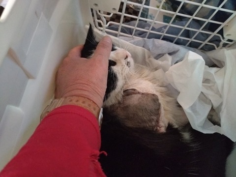 20250118_163336_copy_1000x750_copy_750x562