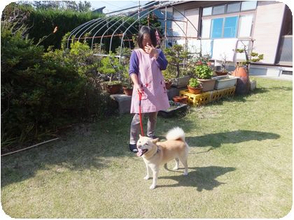 DSCF2200