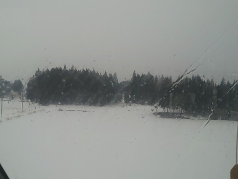 20240312_161436_copy_800x600_1