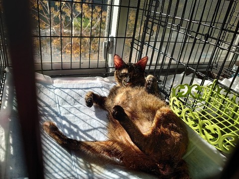 DSC_1543_copy_800x600