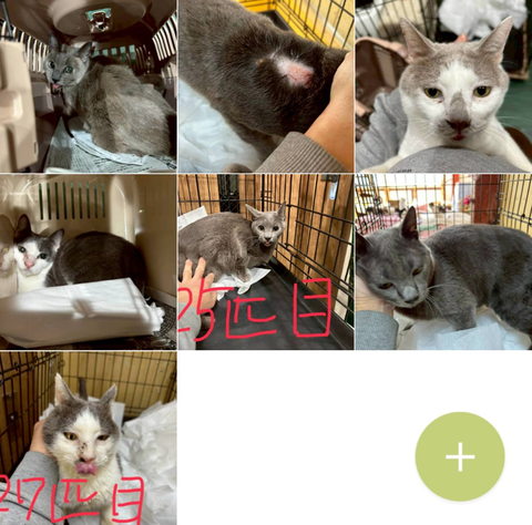 Screenshot_20260301-084741_copy_800x790