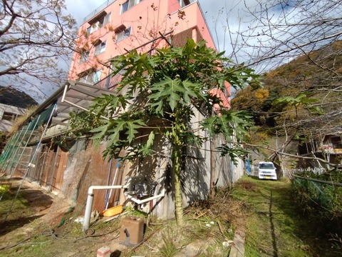 20251128_100956_copy_816x612_1