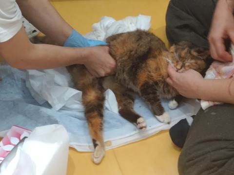 20260224_090229_copy_800x600