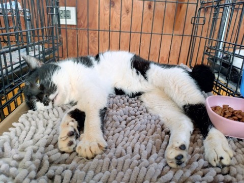 20260316_140019~2_copy_800x600