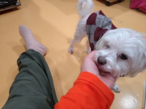 20251206_180124_copy_800x600