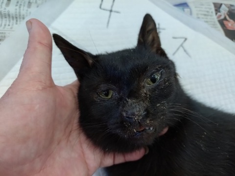 20251029_083301_copy_800x600