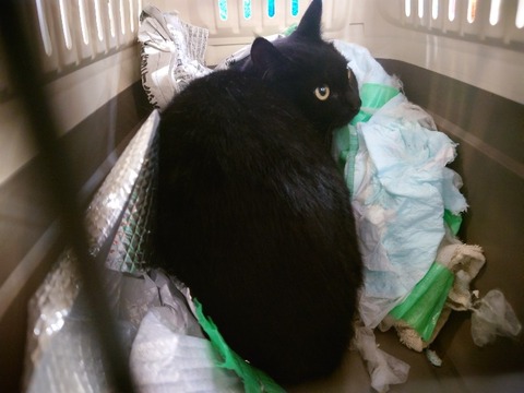 20240124_110837_copy_800x600