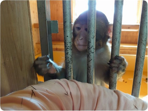 DSC_1270_copy_3461x2673