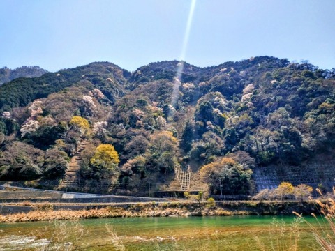 2339_copy_800x600