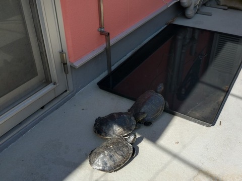 20260226_124202_copy_800x600