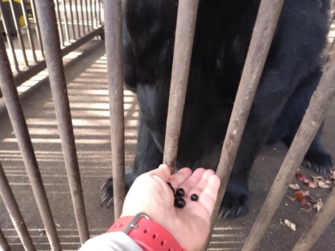 20251102_081802_copy_800x600