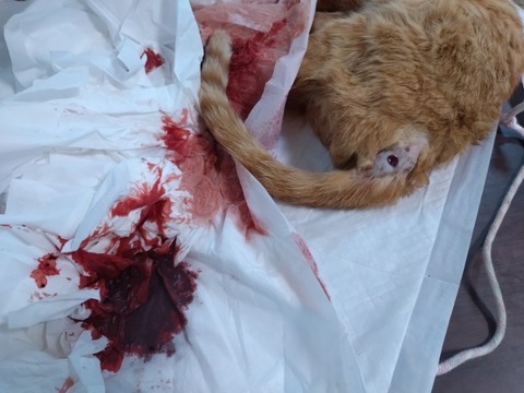 20260125_163320_copy_800x600