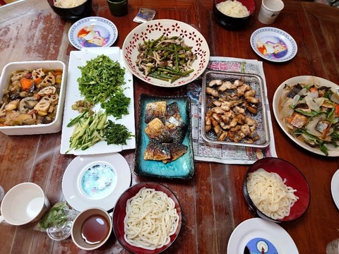 20230420_124051_copy_800x600