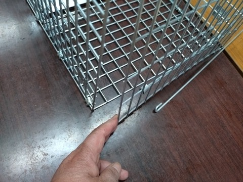 20251228_135058_copy_800x600