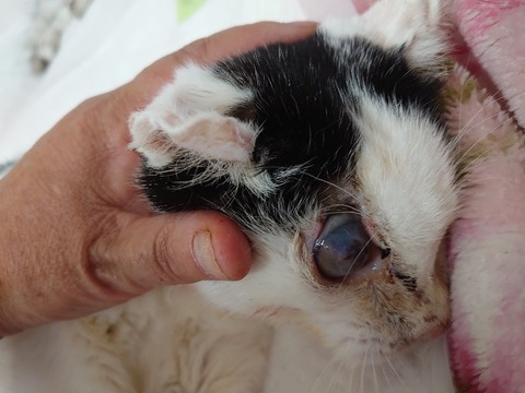 DSC_0614_copy_800x600