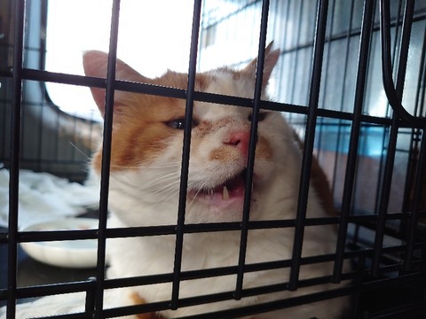 DSC_1894_copy_800x600