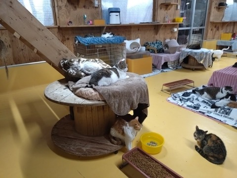 20260116_192258_copy_800x600