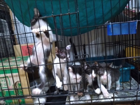 20251024_185451_copy_800x600